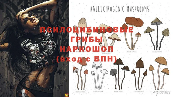 дмт Заволжье
