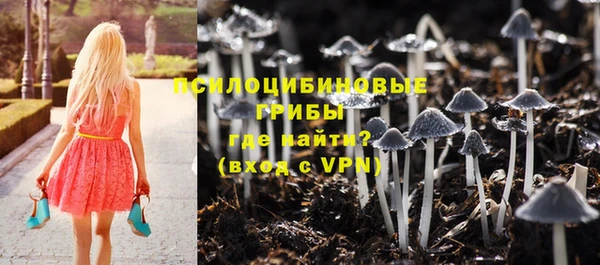 молекула духа Заволжск
